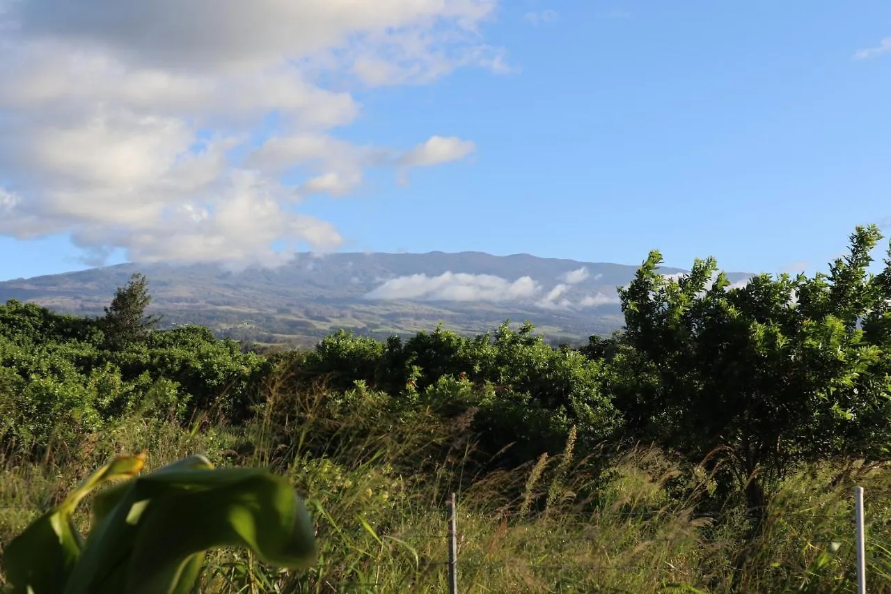 God'S Peace Of Maui Bed and Breakfast Makawao