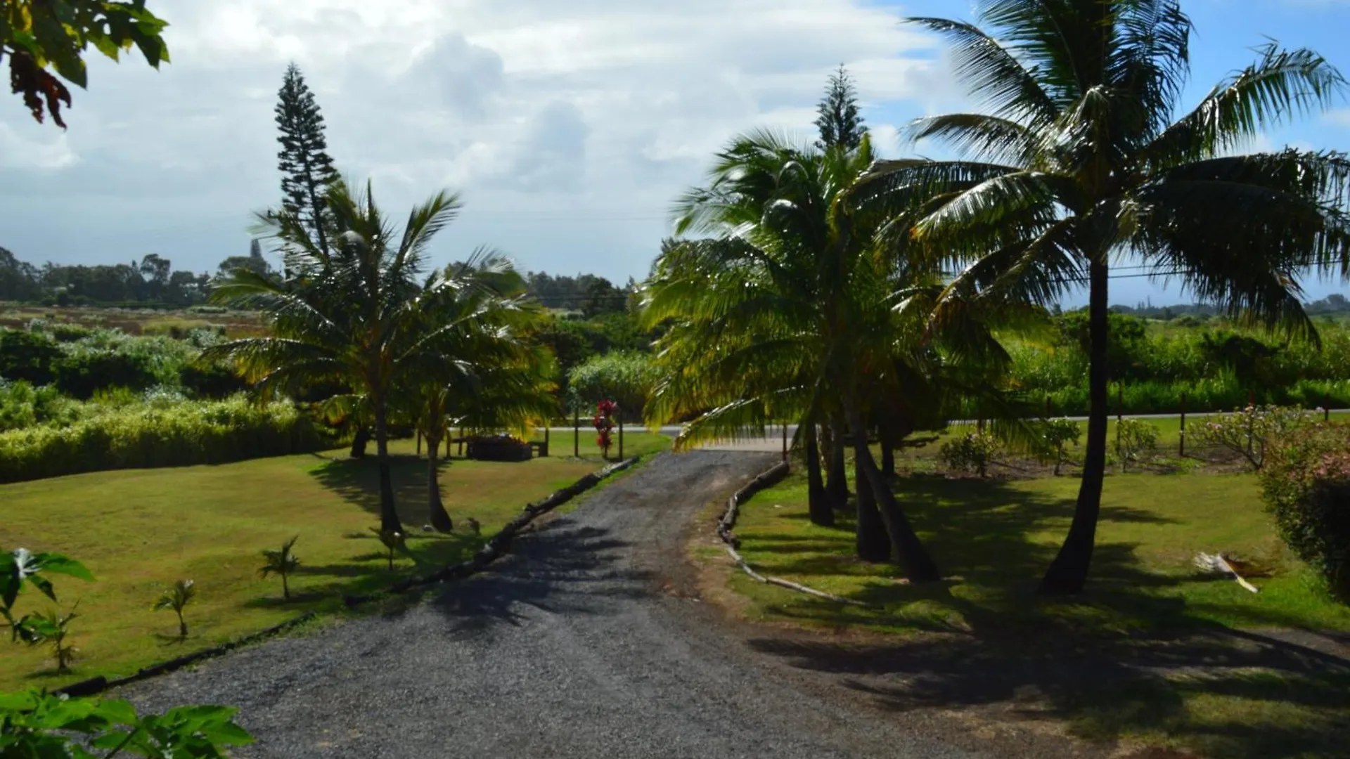 Bed & Breakfast God'S Peace Of Maui Bed and Breakfast Makawao