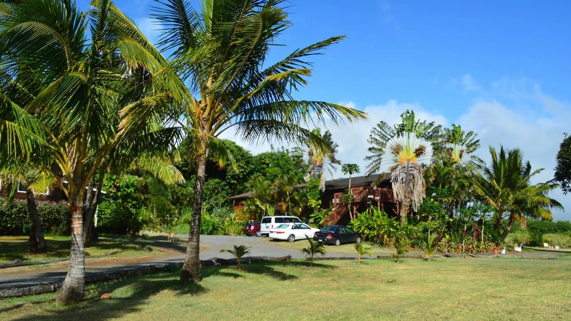 God'S Peace Of Maui Bed and Breakfast Makawao Verenigde Staten